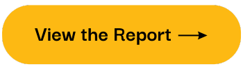 View the Report 2023 Button